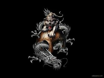 China Dragon And Tiger Wallpaper