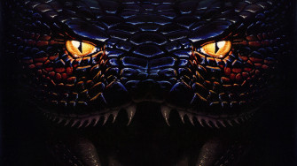 Anaconda Wallpaper