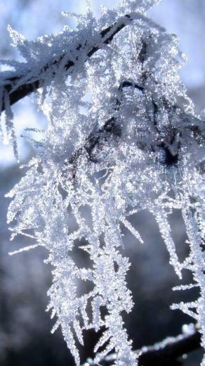 Winter Wallpaper iPhone