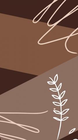 Aesthetics Phone Setup Wallpaper Icons