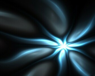 3d Anemone Desktop High Quality Wallpaper
