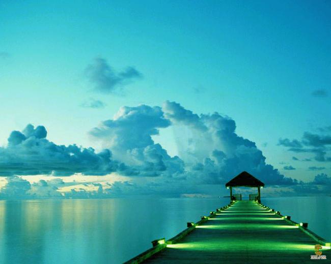 Wallpaper And Funny Ocean Scene
