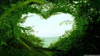 Beautiful Love Nature Wallpaper HD Desktop