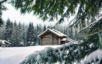 Snow Winter House Pine Needles Spruce Trees Wallpaper