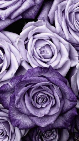 Marianel Rocio On Flower Power Wallpaper