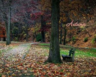 Fall Wallpaper Covers Printables By Kate Net