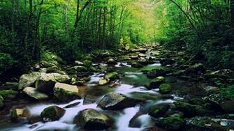 North Carolina Mountains Wallpaper