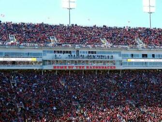 Razorback Image Crazy Gallery