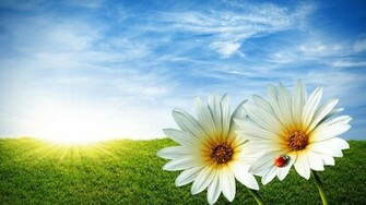 Summer Wallpaper HD For Desktop