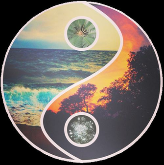 Ying Yang Transparent