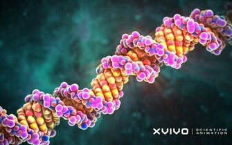 Dna Wallpaper