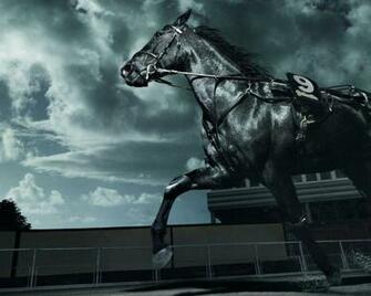 Black Horse Wallpaper