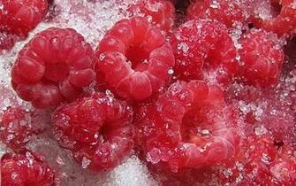 Raspberries Wallpaper 1080p 61re17j Wallpaperexpert