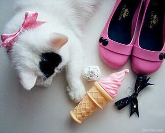 Loving Different Things HD Wallpaper Deep For You