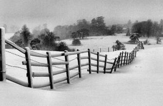 Winter Scene Desktop Background