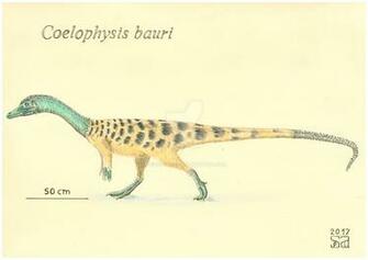Best Coelophysis Wallpaper