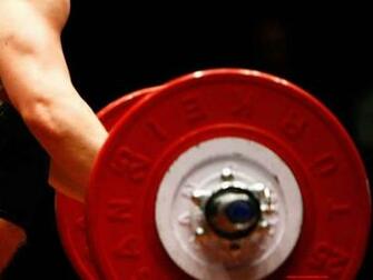 Photos Of Weightlifting Animals Funny Cartoon Weight Lifting