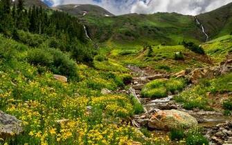 Stream In The Field Wallpaper Original HD