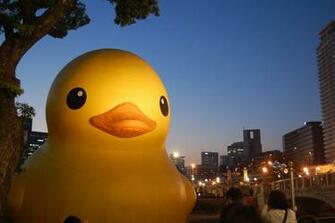 Giant Rubber Duck Wallpaper And Saw A