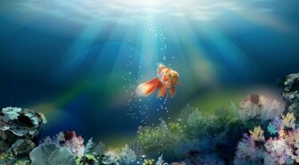 Gallery Wallpaper Gold Fish HD