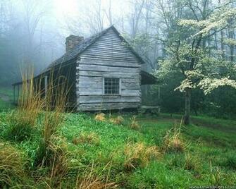 Desktop Wallpaper Natural Background Peaceful Morning Noah