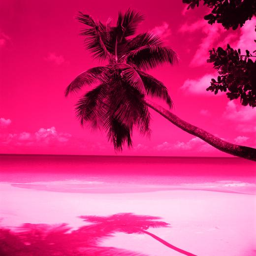 Pink Beach Sunset Wallpaper Desktop Background For HD