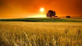 Summer Season HD Wallpaper