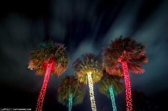 Christmas Tree Lights South Florida Style At Snug Harbor Drive