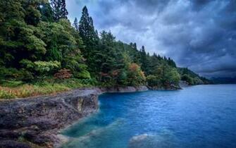 Green Trees Ocean Rocky Shore Wallpaper
