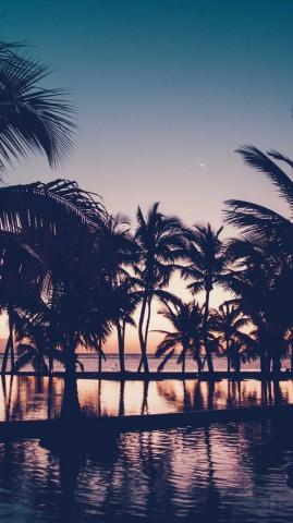 Summer iPhone Wallpaper On