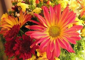 Fall Flowers Wallpaper Weddingdressin