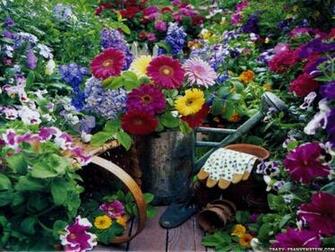 Showing Gallery For Country Spring Background Desktop