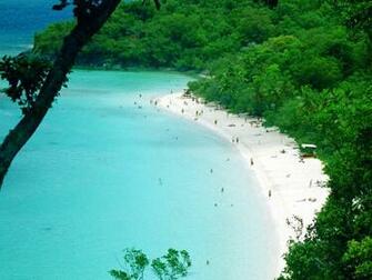 Trunk Bay St John Travel Wallpaper And Stock Photo