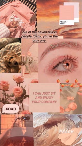 Vintage Peach Aesthetic Wallpaper