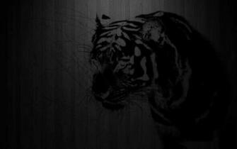 Black Color Wallpaper