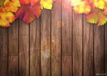 Wood Fall Leaves Background Wallpaper Teahub Io