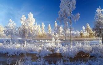 Weekly Bing Wallpaper To December Hq