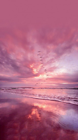 Simple Pink Wallpaper iPhone Aesthetic