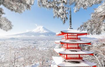 Wallpaper Winter Snow Trees Branches Mountain The Volcano