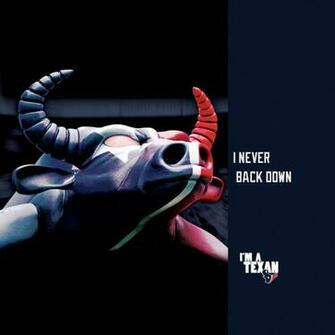 Houston Texans Wallpaper