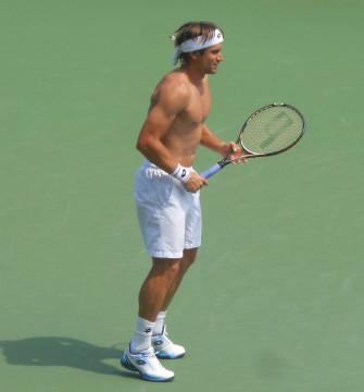 David Ferrer Shirtless Wallpaper