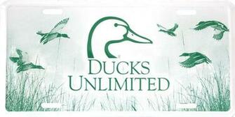 Ducks Unlimited Background Group Picture Image By Tag