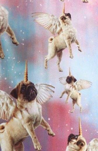 Pugicorn Funny Pugs Cute S Pug Wallpaper