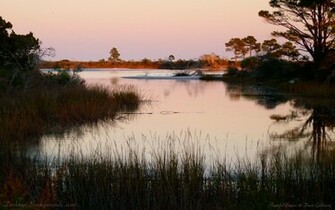 Peaceful Bayou Desktop Background