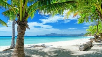 Jamaica HD Wallpaper For Nature Portray Beautiful