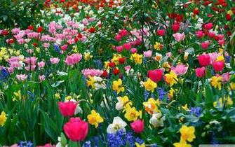Desktop Wallpaper Spring Flowers HD Background
