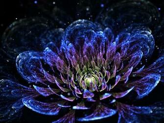 Collection Great Pictures Pure High Definition HD You Can
