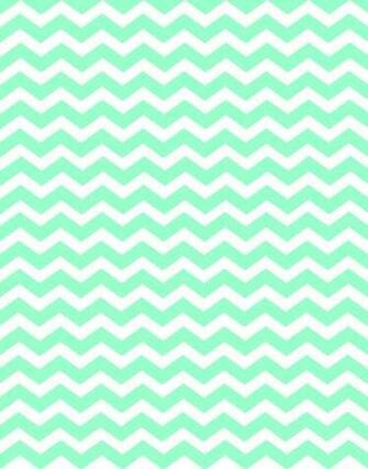 Doodlecraft Minty Chevron Bie Madness