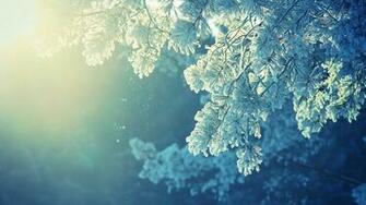 Anime Nature Snow Winter Cold Sunlight Peaceful Wallpaper HD