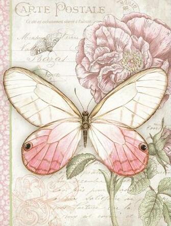Stationery Address Books Pink Butterfly Book